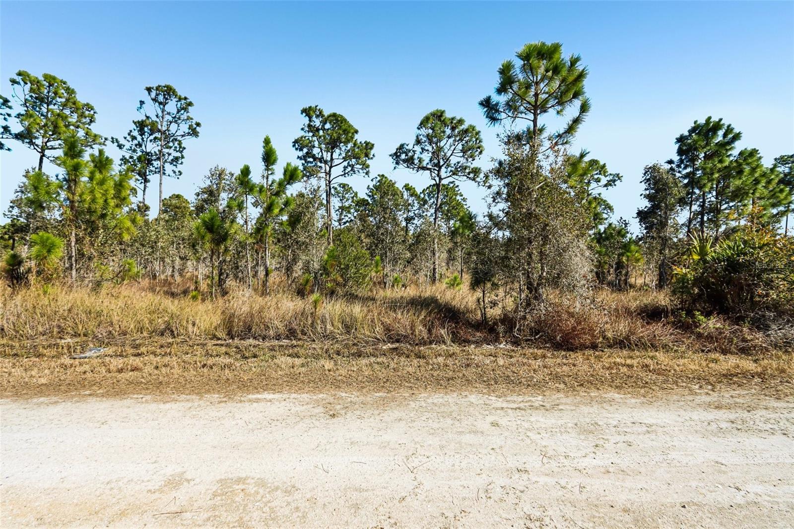 13592 Carousel Dr, Punta Gorda, FL 33955 — photo 1 of 1