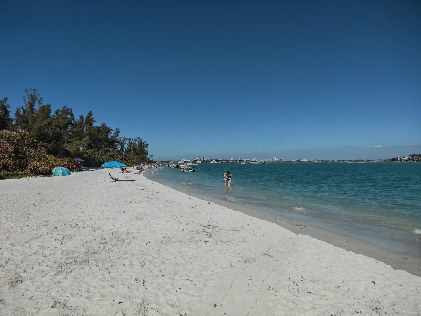 1770 Benjamin Franklin Dr #206, Sarasota, FL 34236 — photo 75 of 100