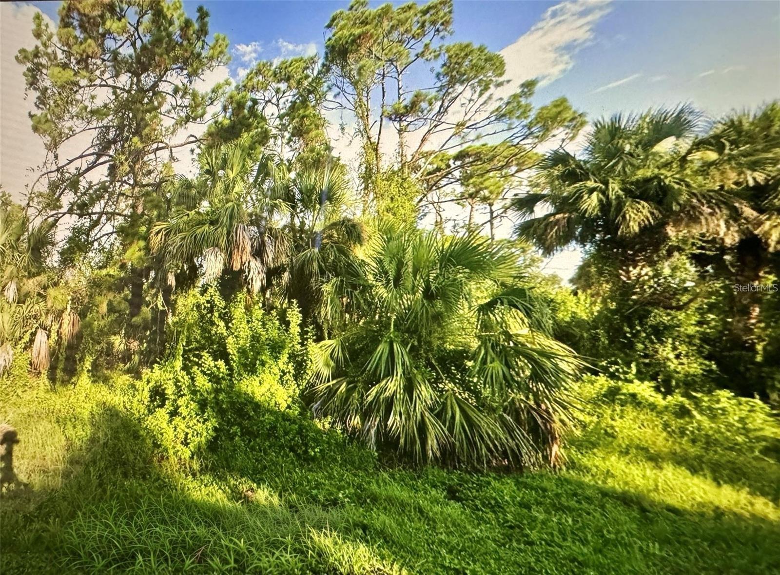 109 Camillia Ln, Port Charlotte, FL 33954 — photo 1 of 1