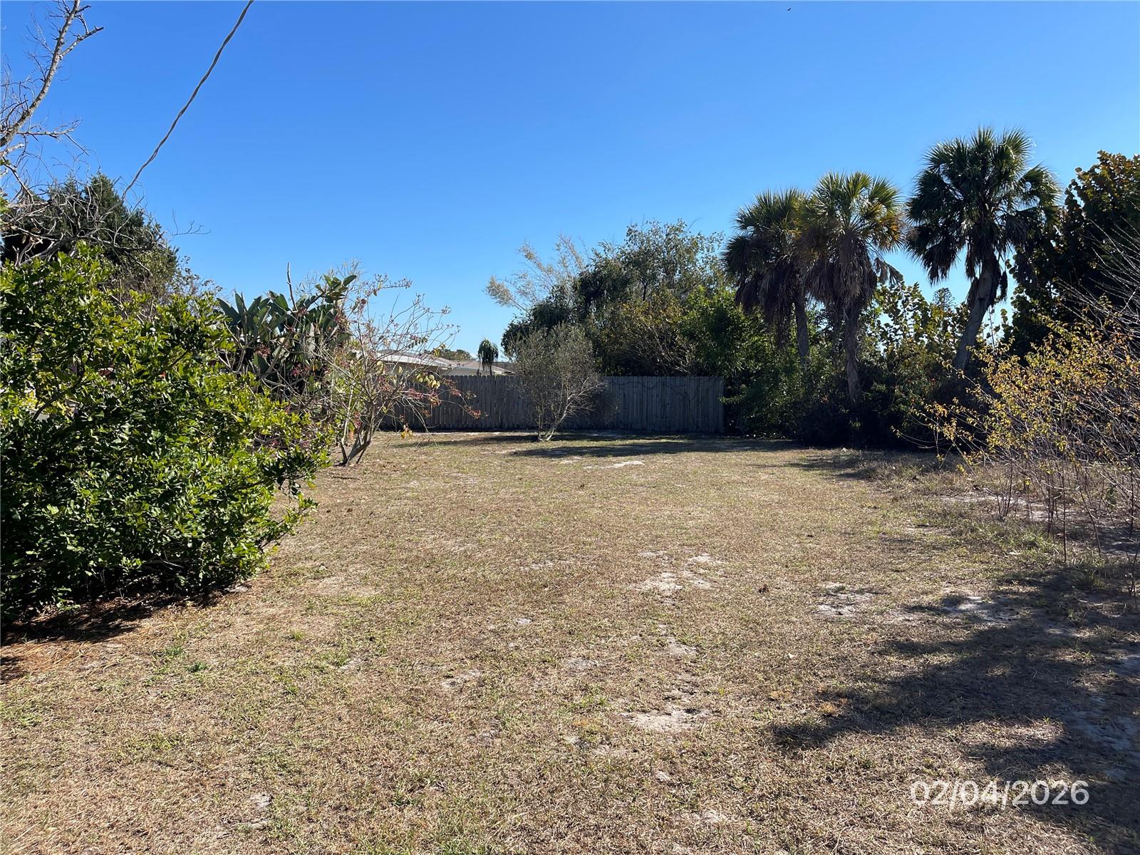 Backyard