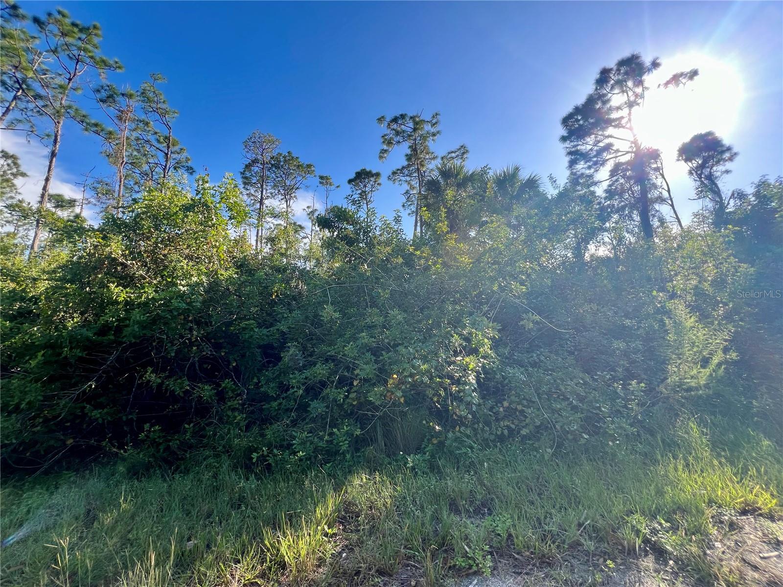 Jubilee Cir, North Port, FL 34288 · MLS# C7522362 — photo 1 of 1
