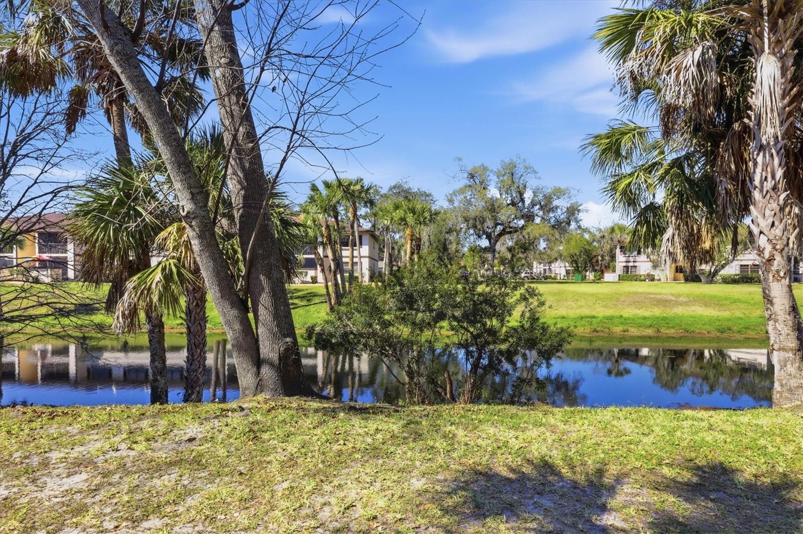 1515 Forrest Nelson Blvd #P105, Port Charlotte, FL 33952 — photo 25 of 40