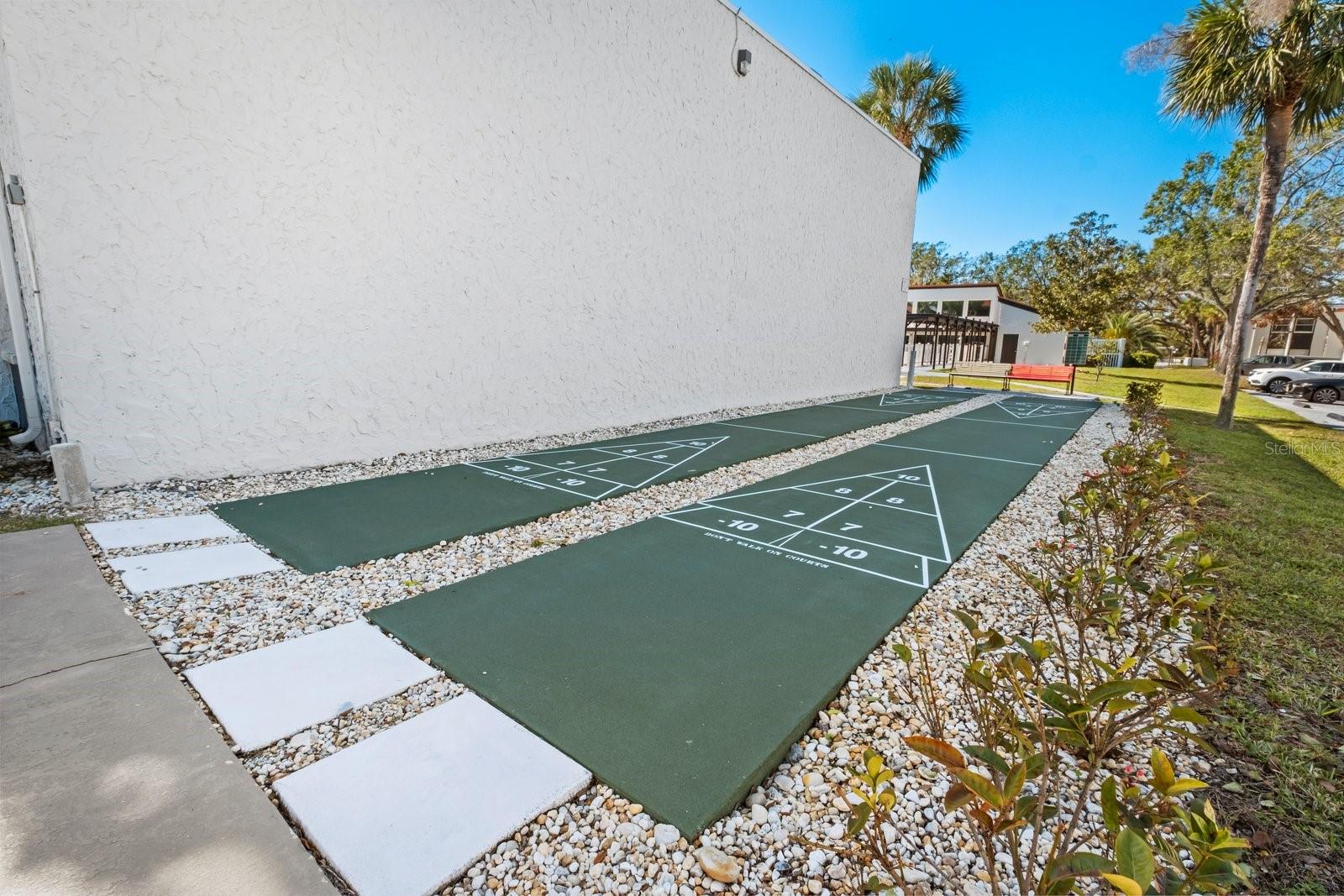 Shuffleboard Court
