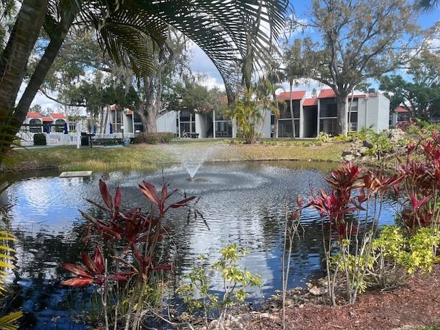 One of several ponds throughout the complex.