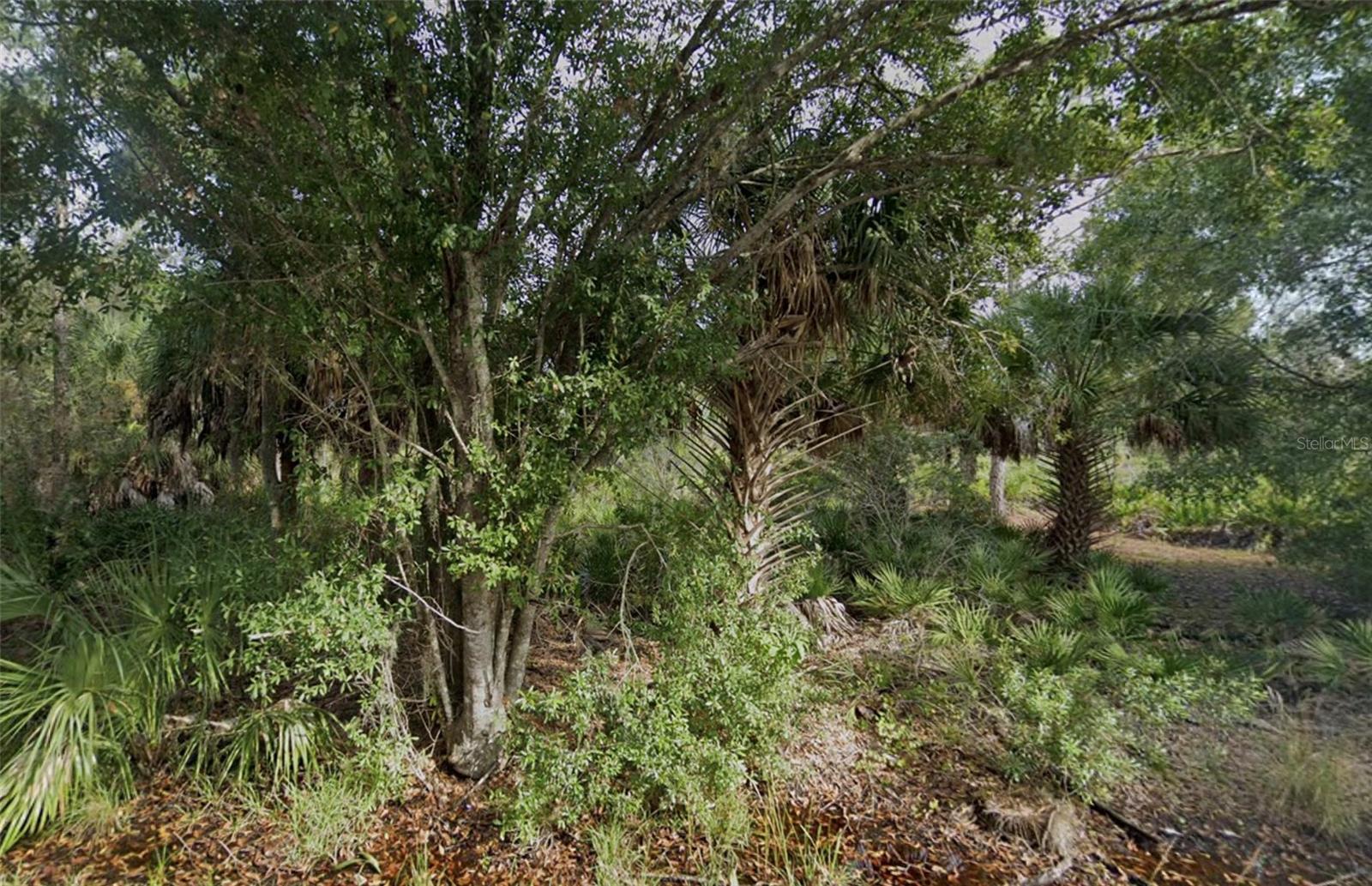 3382 Tiffiny St, Port Charlotte, FL 33980 — photo 1 of 1