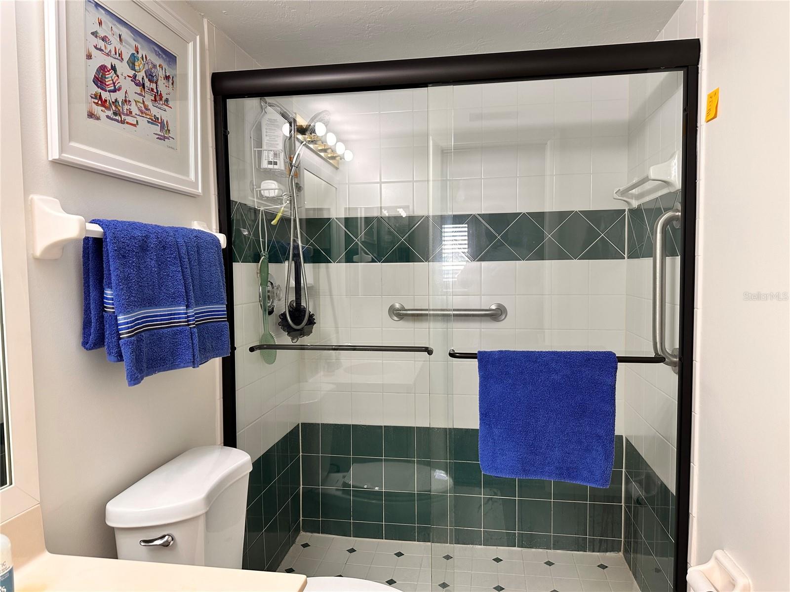 Guest Bath View 2