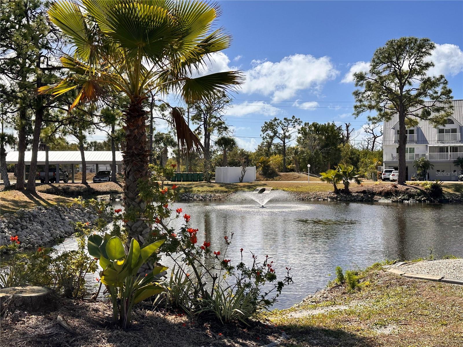Pond/Fountain Next to  Pool