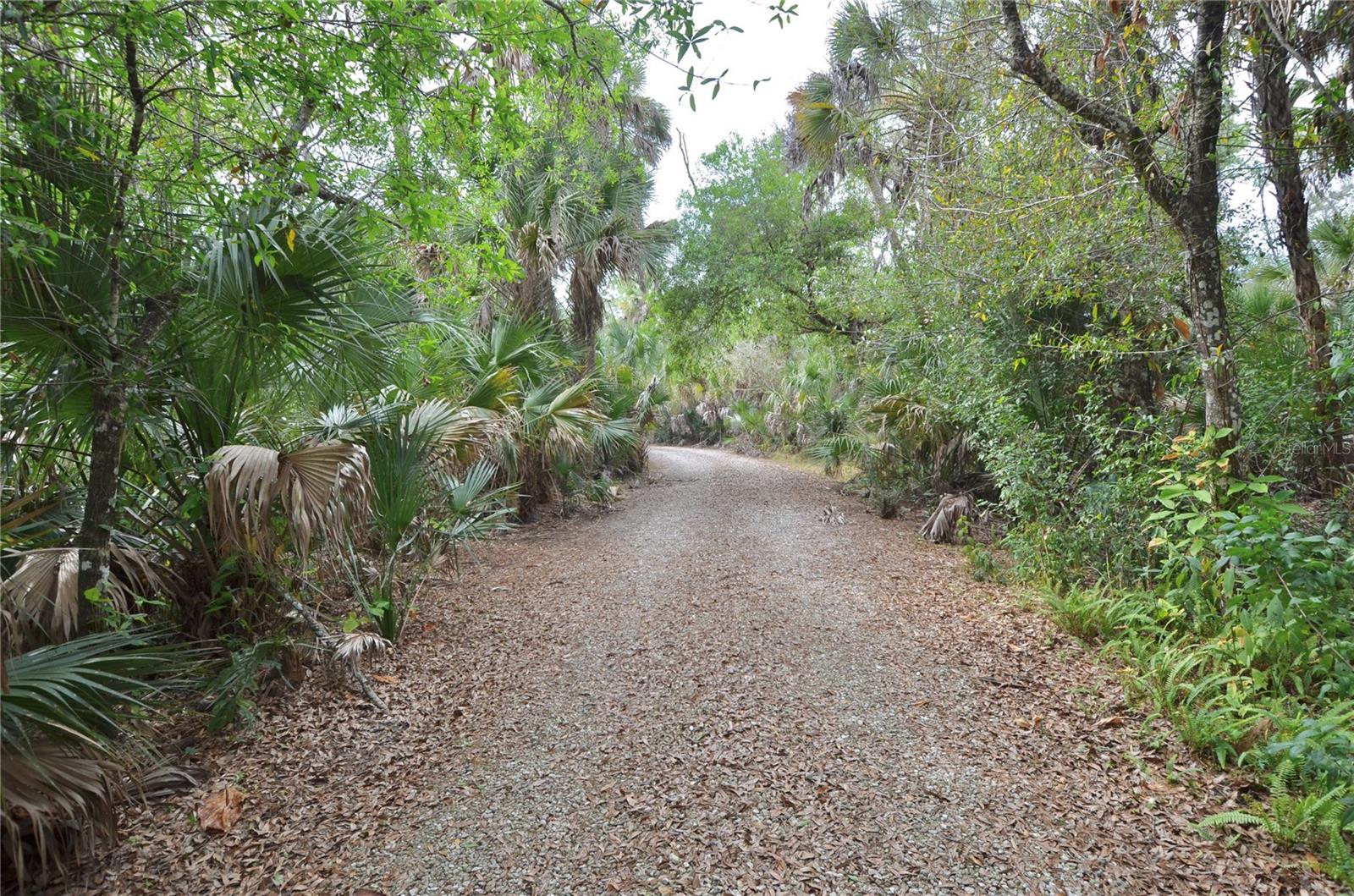Driveway to House
