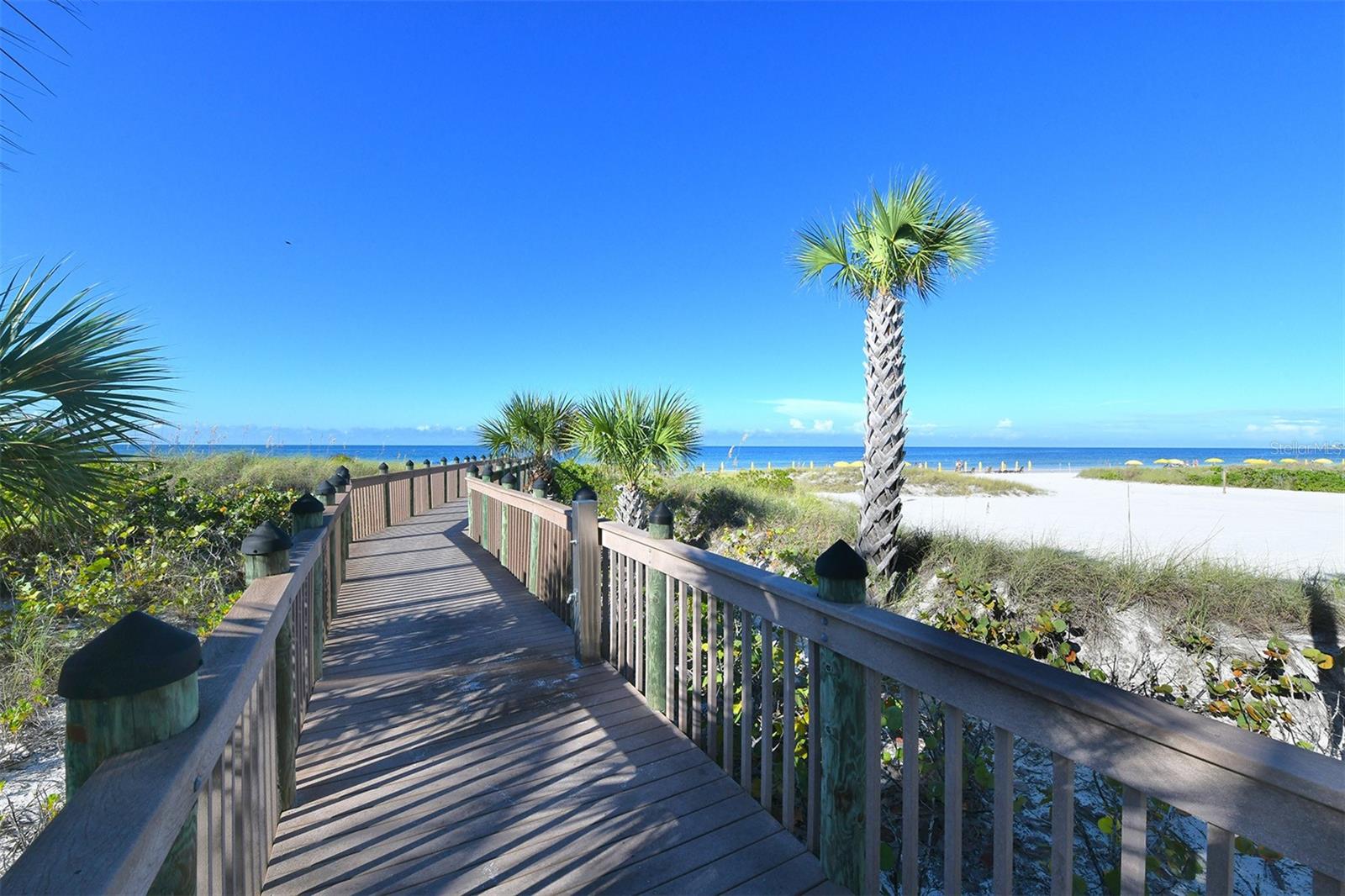 915 Seaside Dr #504, Weeks 6-7, Sarasota, FL 34242 — photo 46 of 52