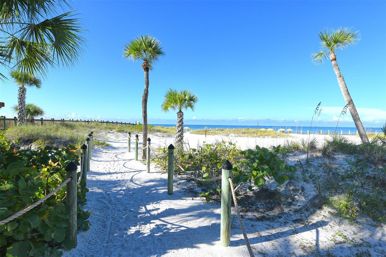 915 Seaside Dr #504, Weeks 6-7, Sarasota, FL 34242 — photo 47 of 52