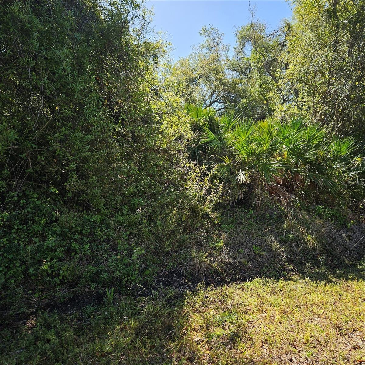 Janaro Rd