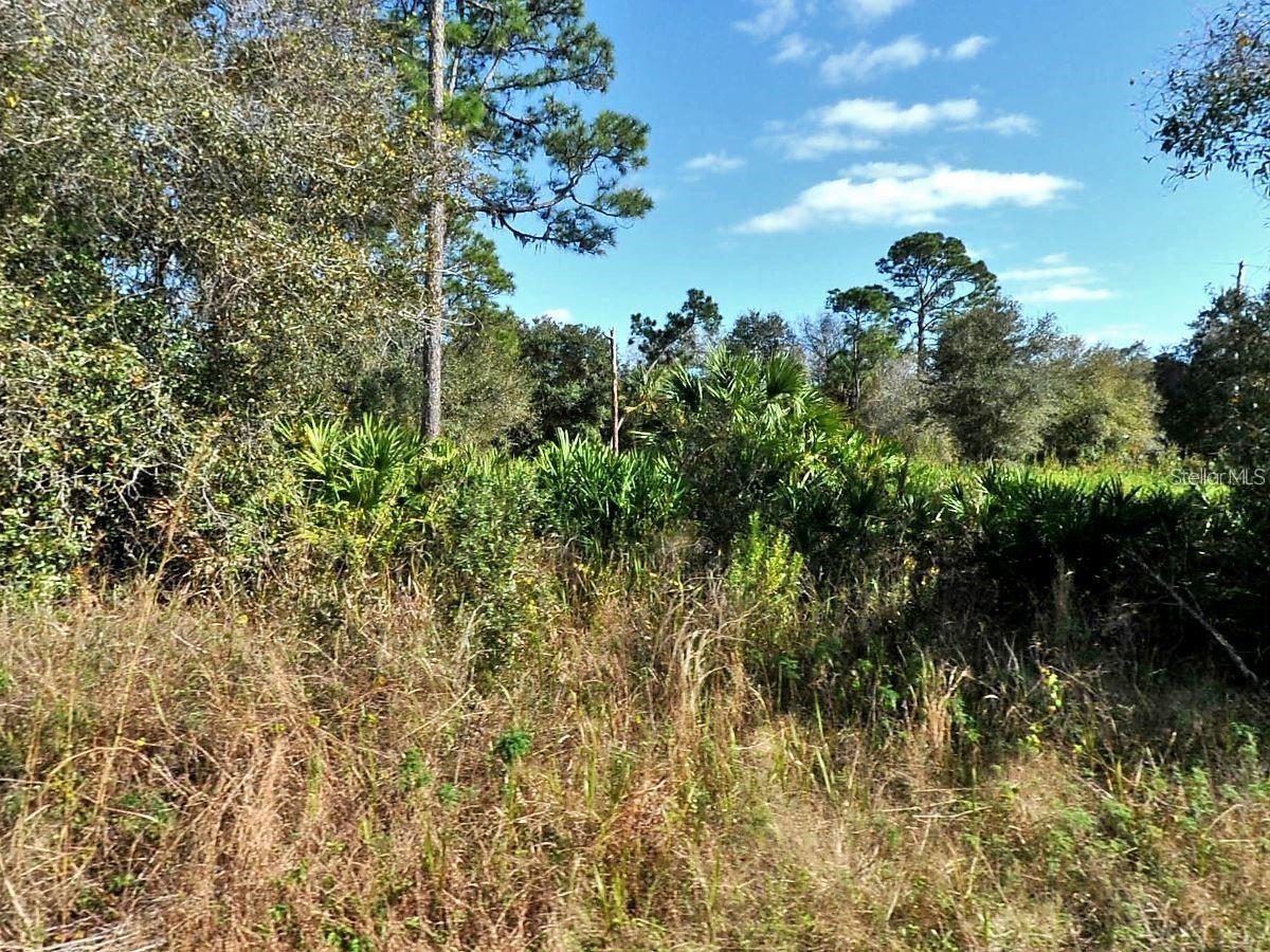 Longfellow Ln, North Port, FL 34288 · MLS# D6146513 — photo 1 of 1