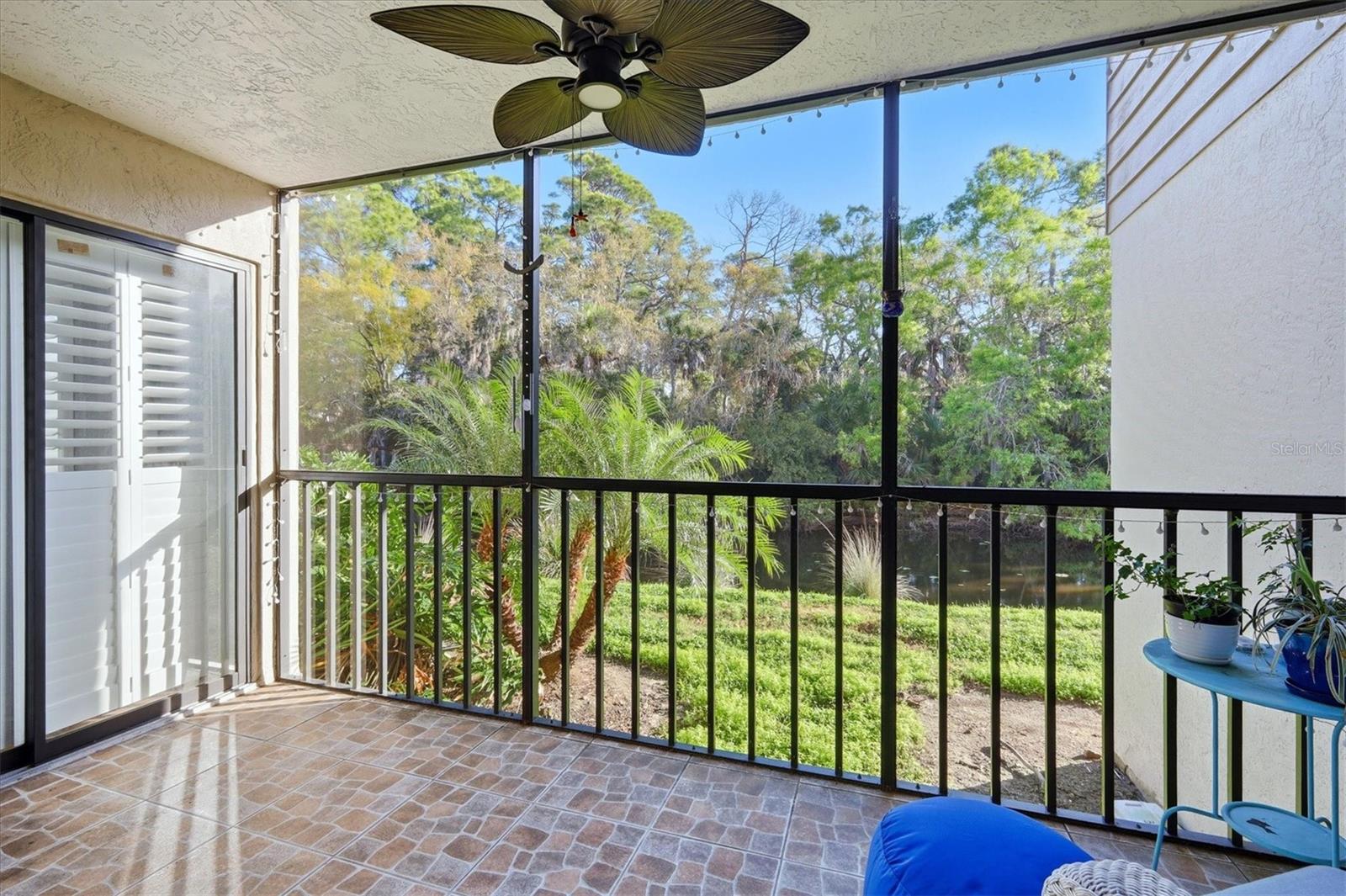 Back screened in lanai area with sliders to primary bedroom and living room area