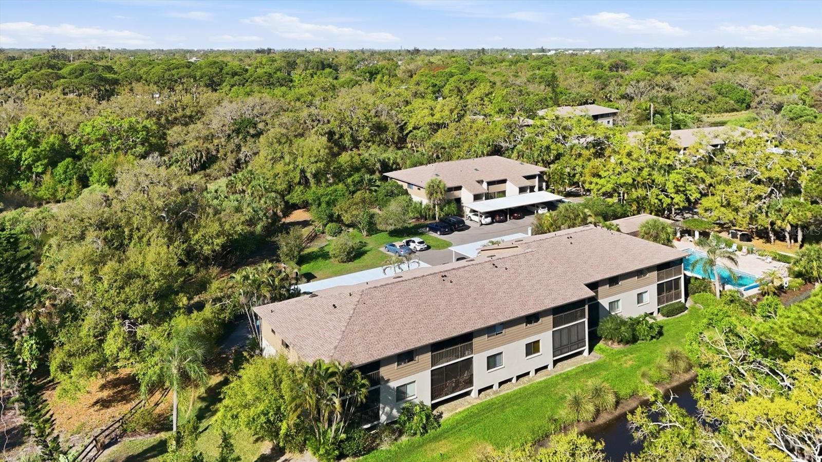 Lush Florida landscape in a serene parklike setting