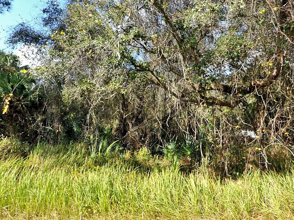 Kacher Rd, North Port, FL 34288 · MLS# D6146601 — photo 1 of 1