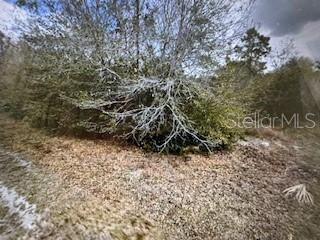 13274 Caloosa Dr