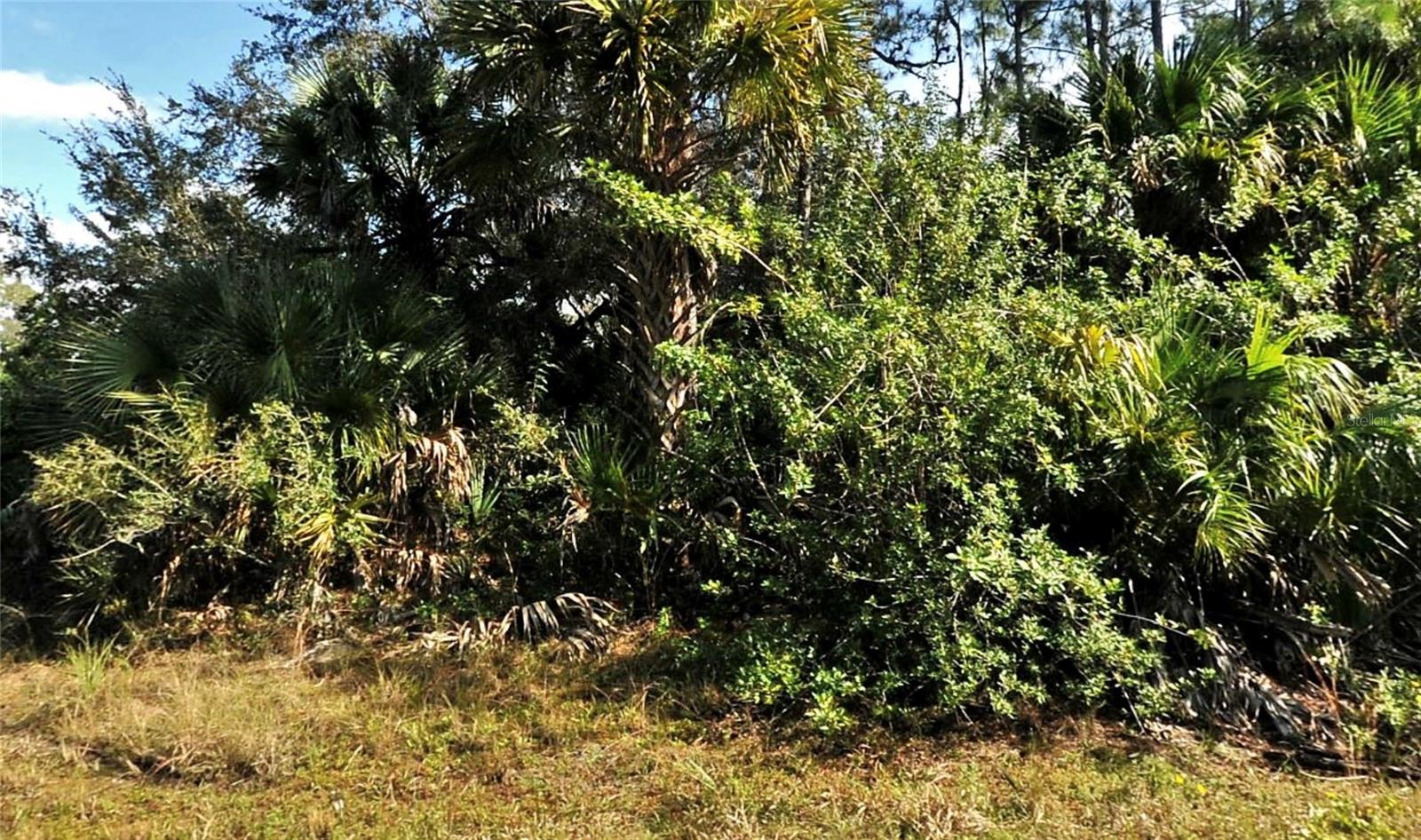 Bolus, North Port, FL 34288 · MLS# C7523702 — photo 1 of 1