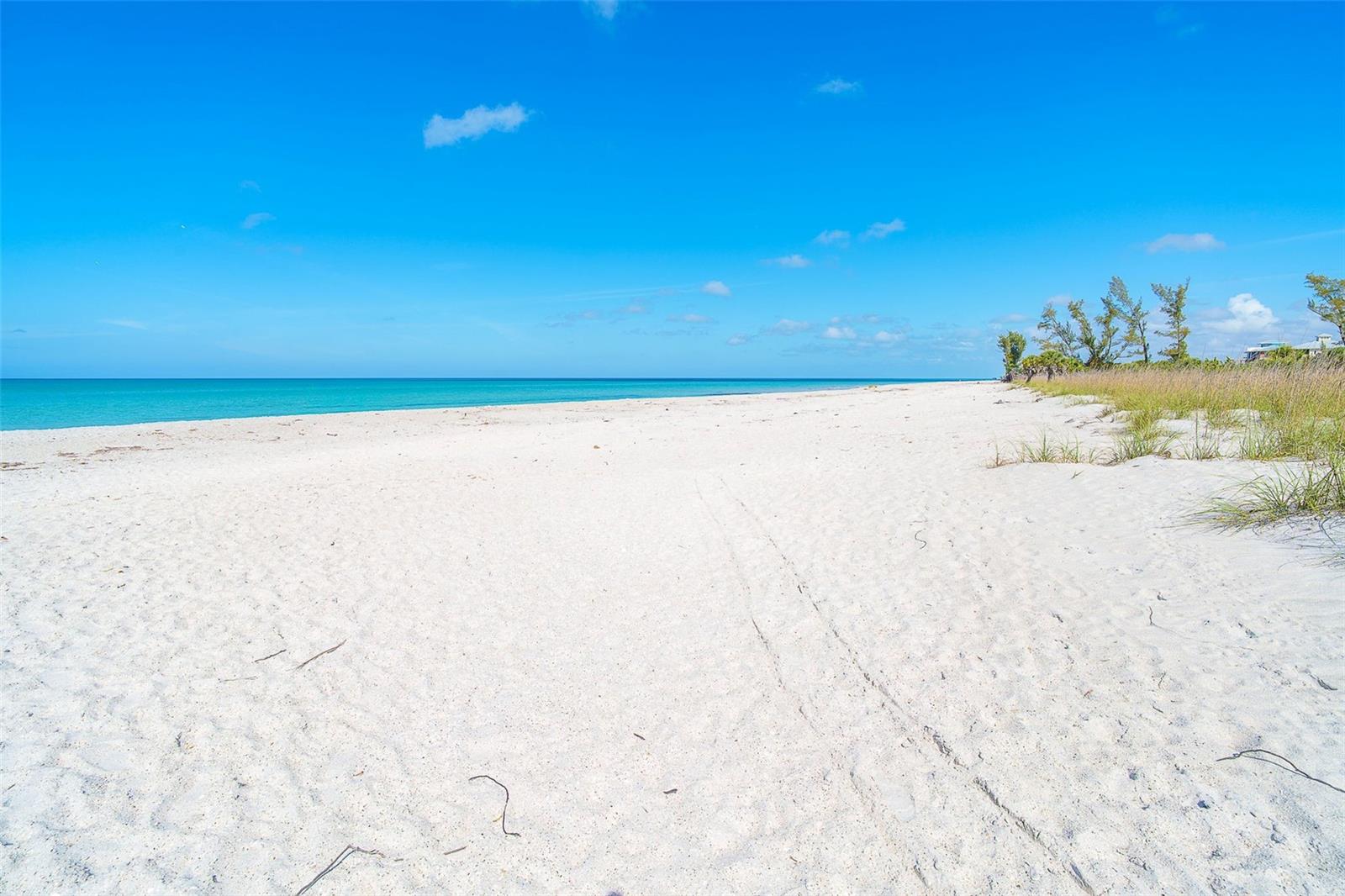 White Sand, beach treasures and blue/green water in Paradise