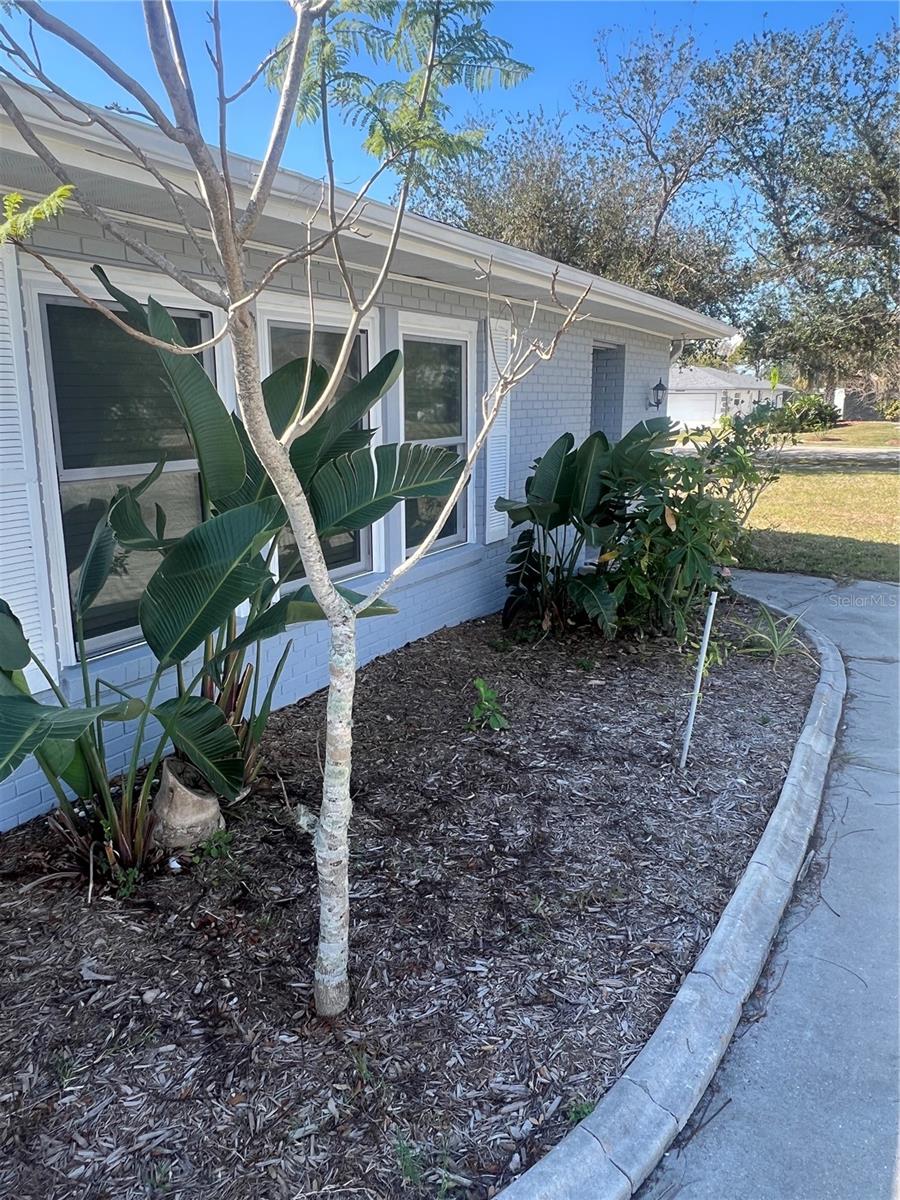 22065 Malone Ave, Port Charlotte, FL 33952 — photo 9 of 62