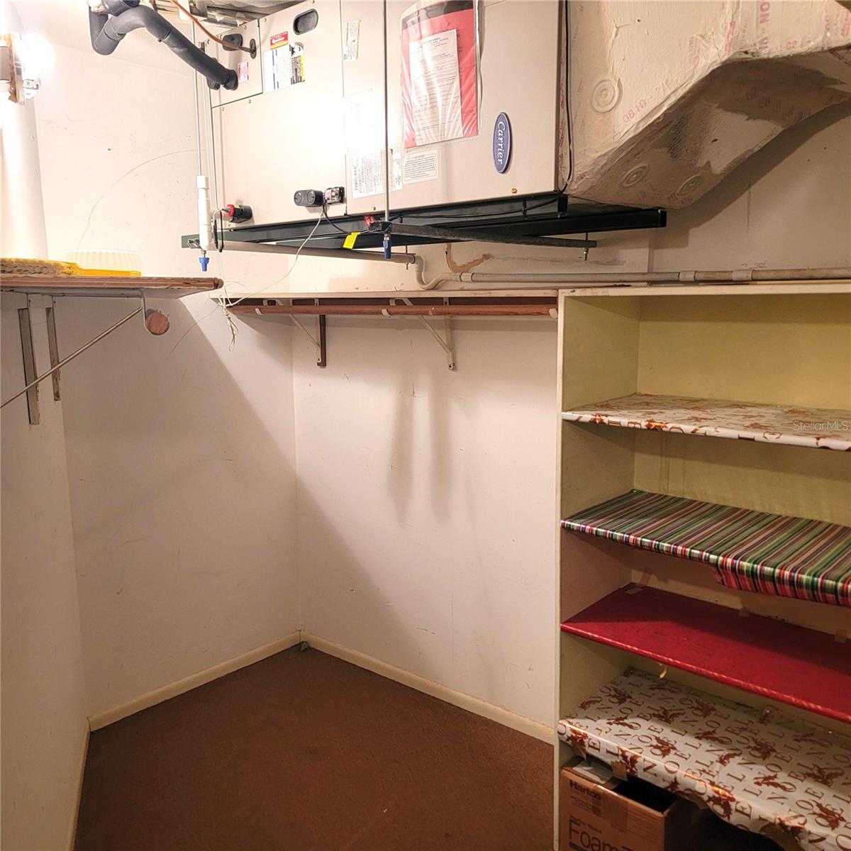 Large Interior Closet (Possible Den)