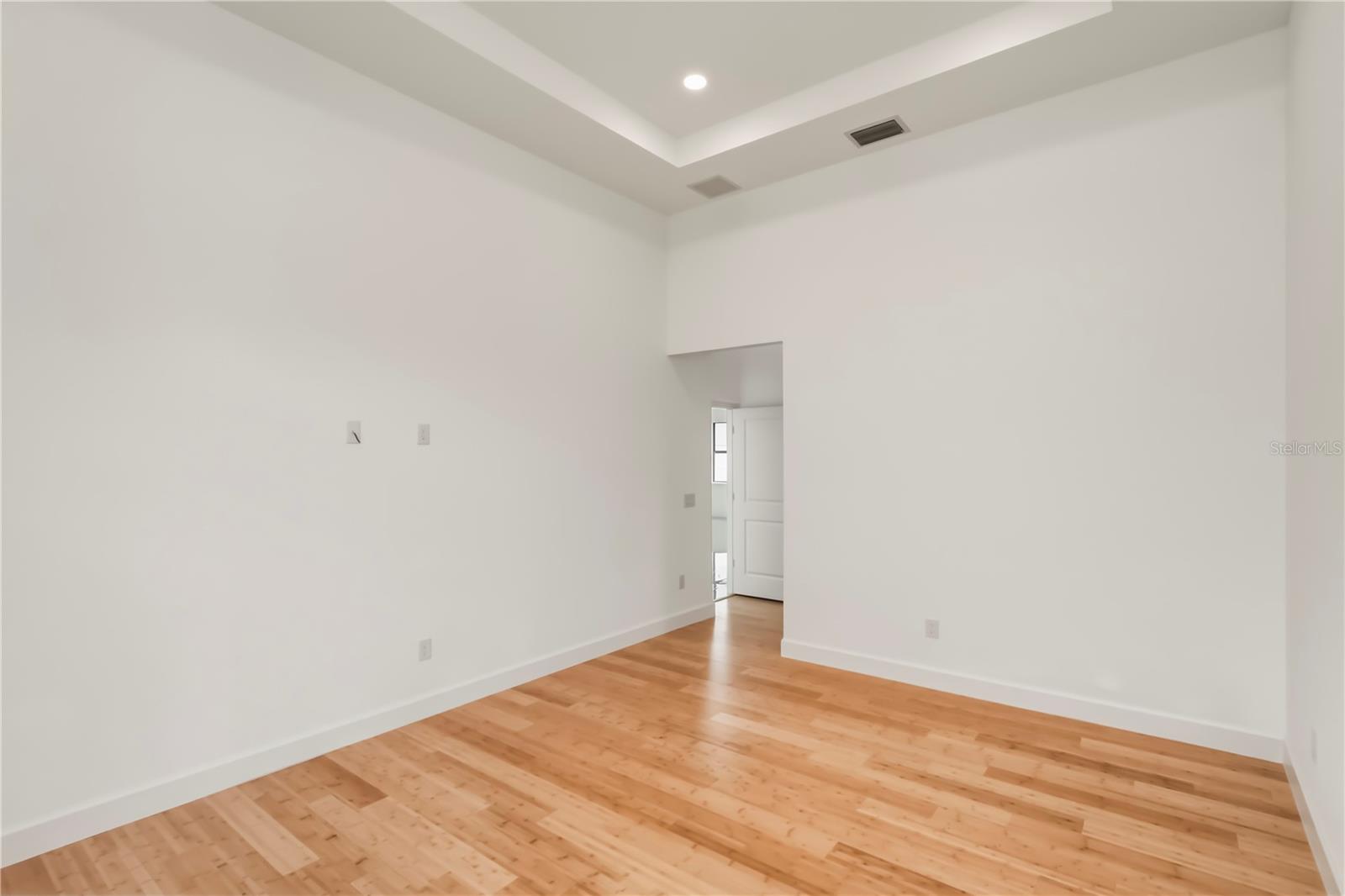 Primary Bedroom with Tray Ceiling.
