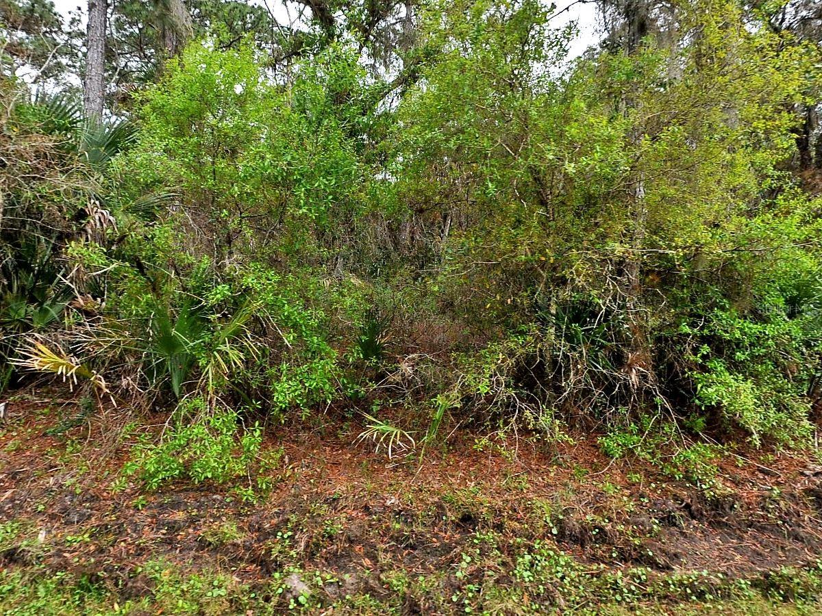 Hurdle Rd., North Port, FL 34291 · MLS# A4688727 — photo 1 of 1