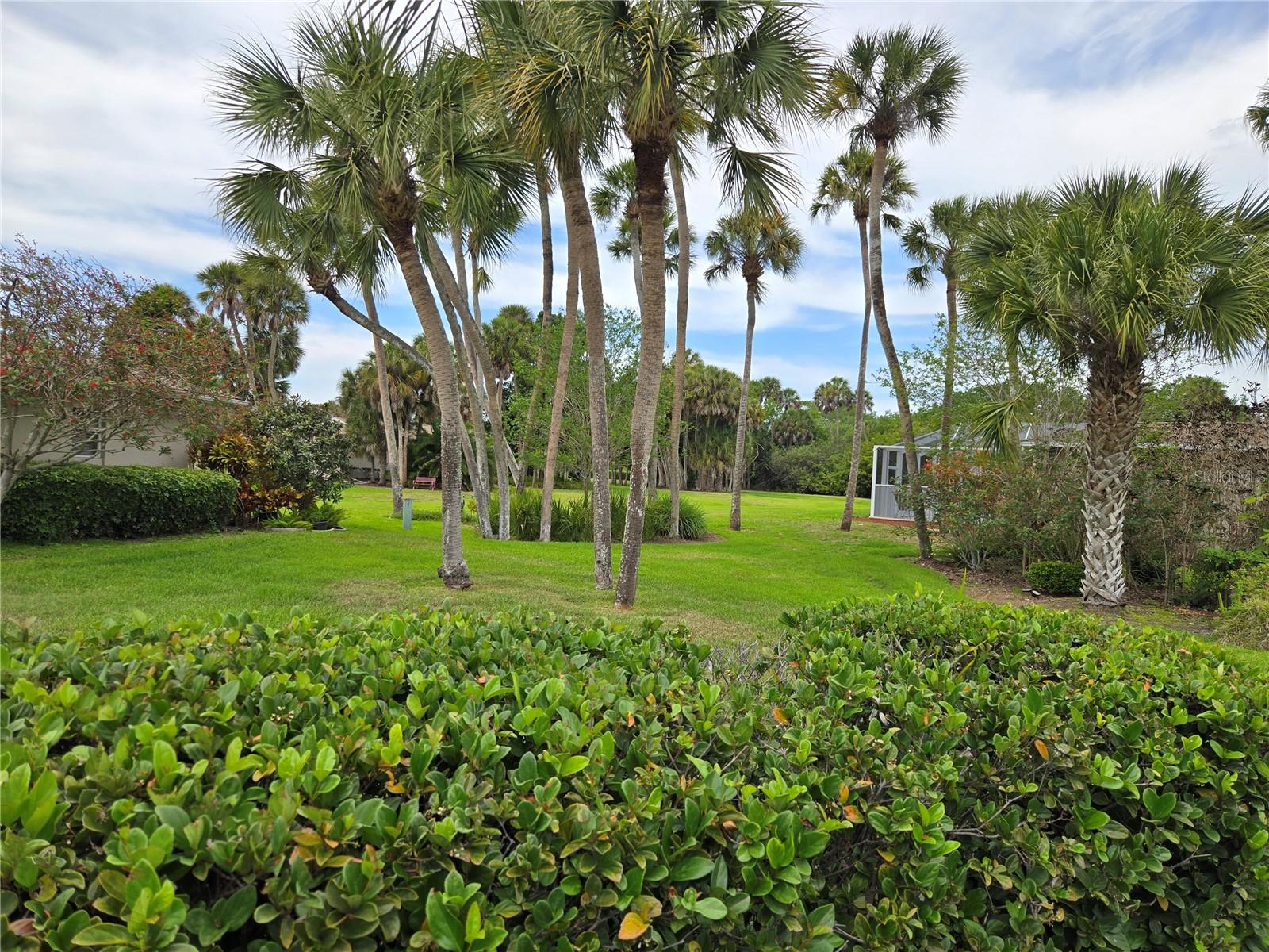 2974 Captiva Gardens Dr #17, Sarasota, FL 34231 — photo 16 of 38