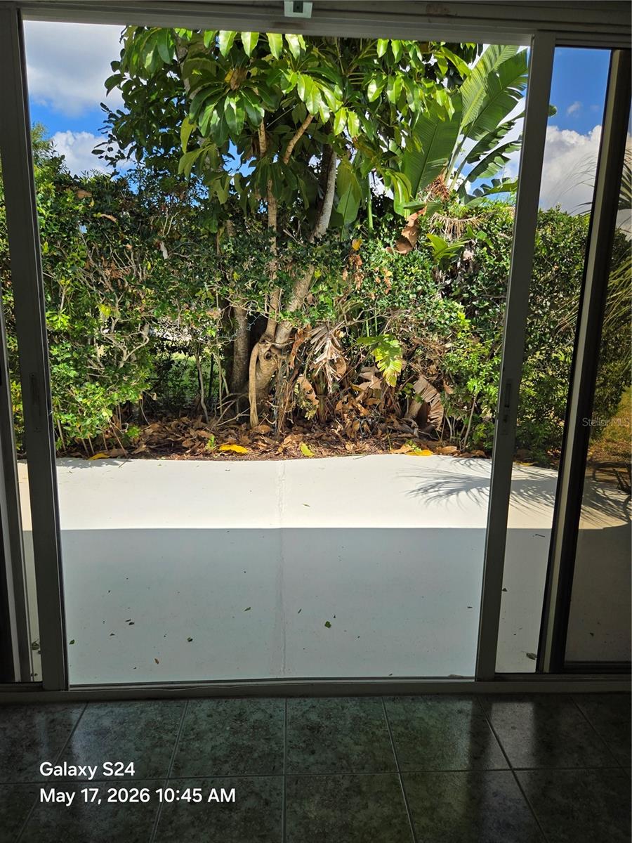 Exterior Patio