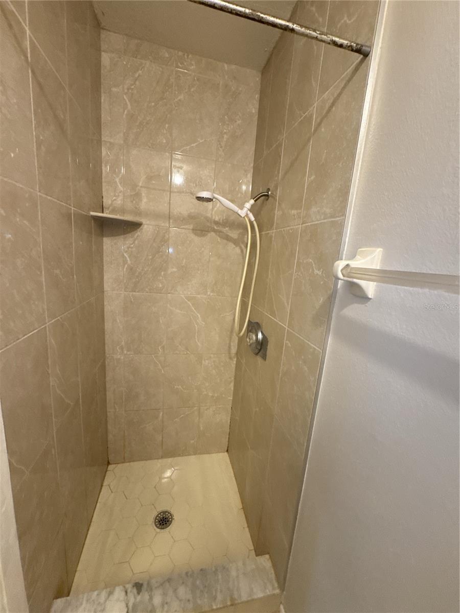 Primary Bathroom Shower