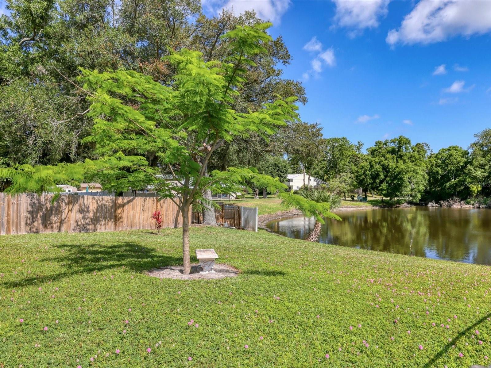 3927 Desoto Rd, Sarasota, FL 34235 — photo 50 of 67