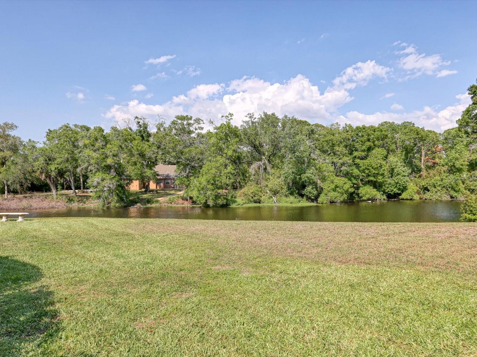 3927 Desoto Rd, Sarasota, FL 34235 — photo 54 of 67