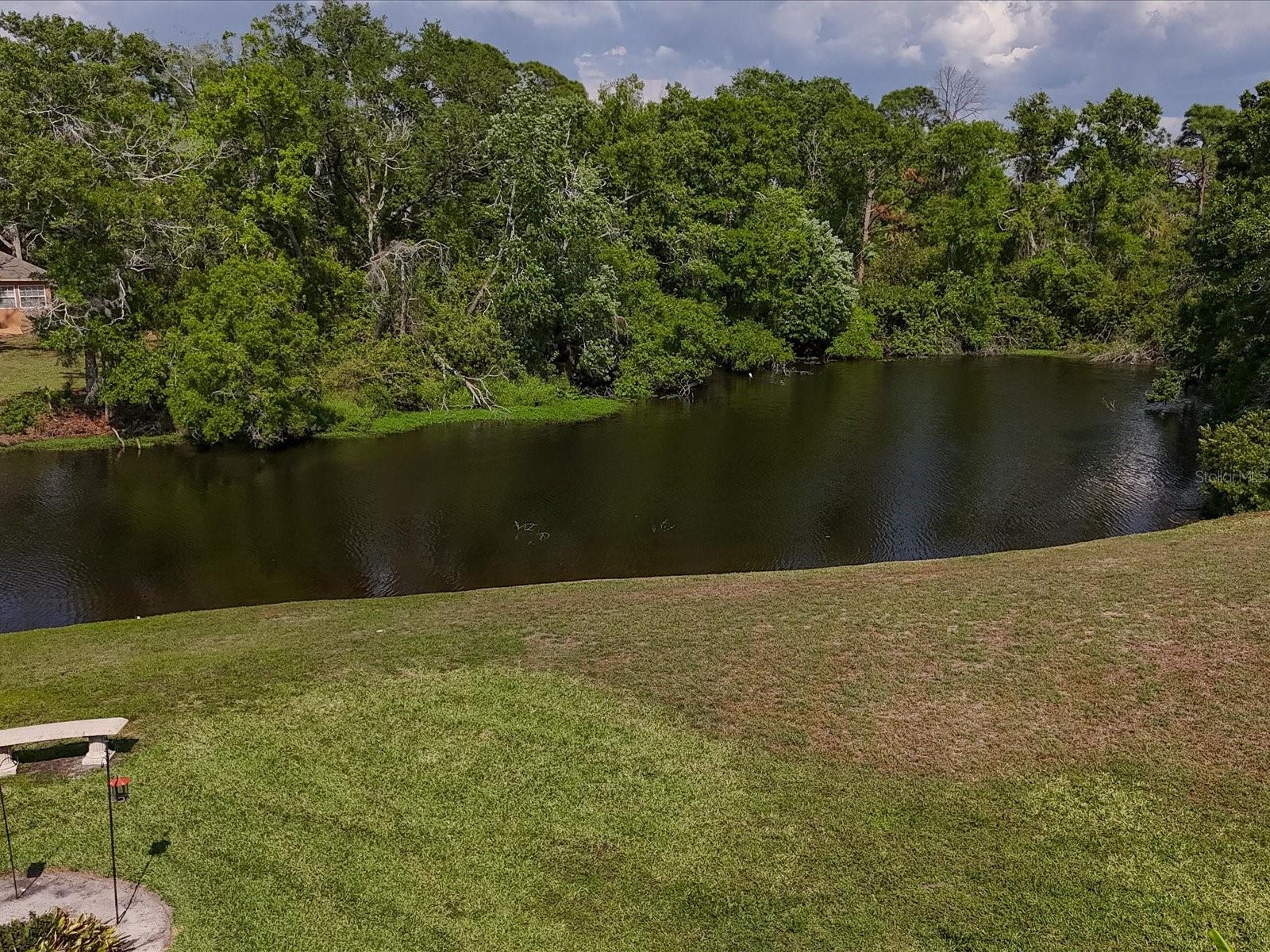 3927 Desoto Rd, Sarasota, FL 34235 — photo 55 of 67