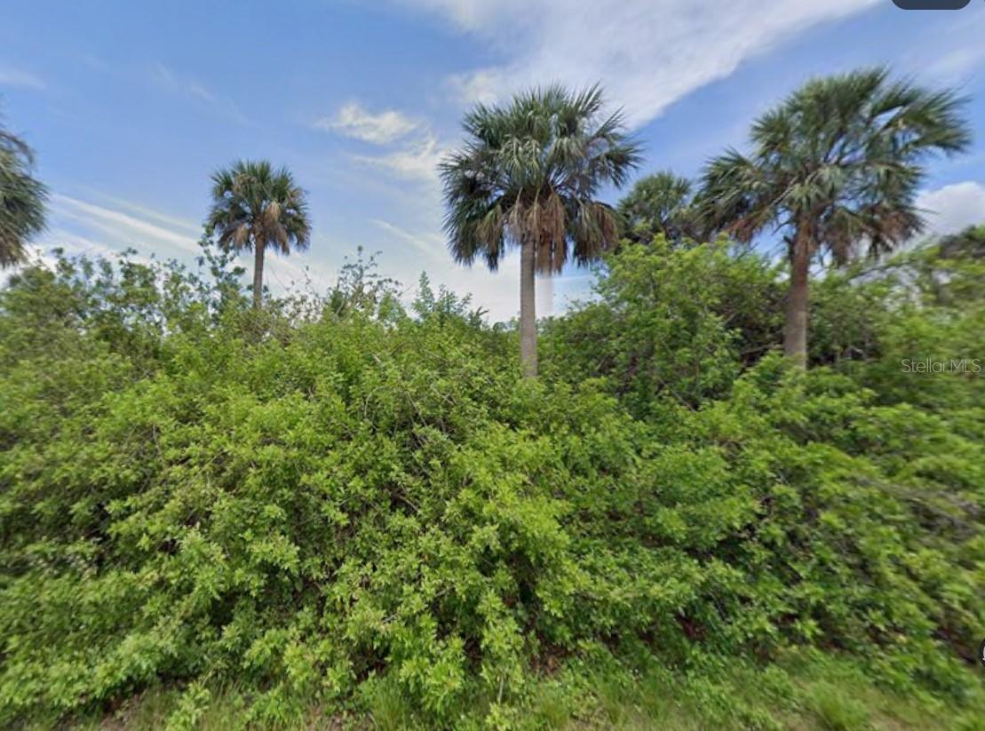 14529 McMillin Ave, Port Charlotte, FL 33953 — photo 1 of 1
