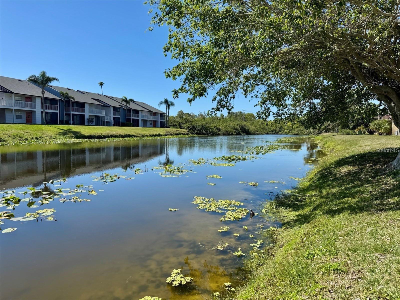 2632 Hidden Lake Dr N #E, Sarasota, FL 34237 — photo 28 of 33