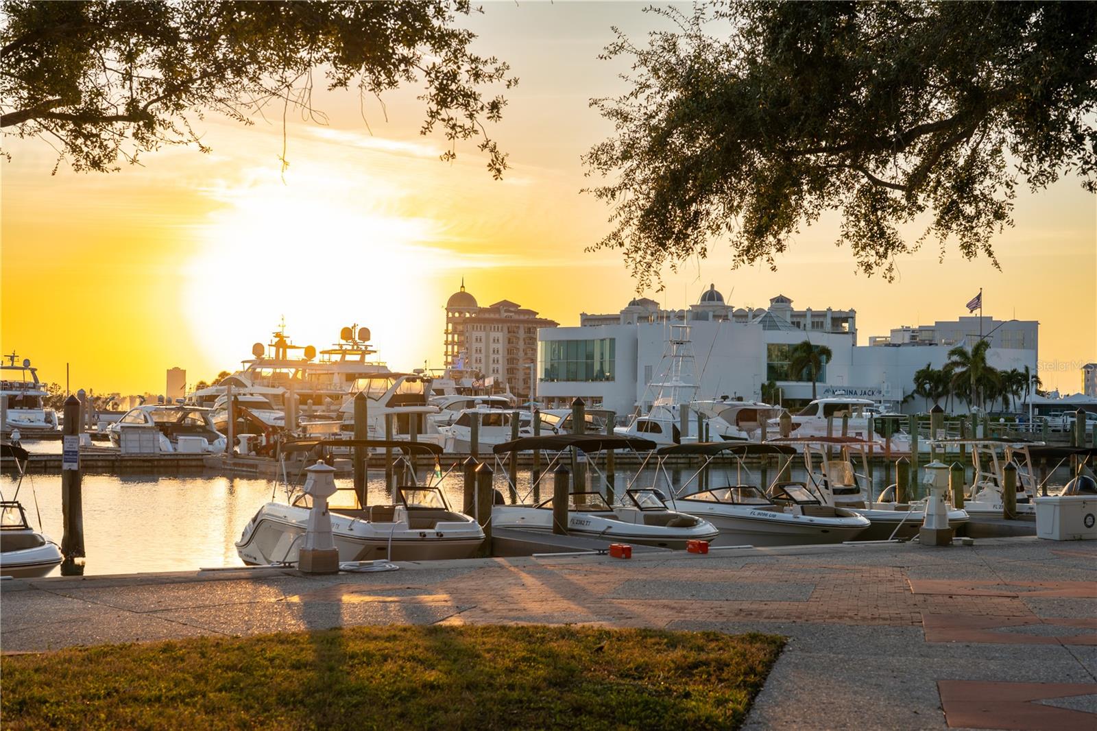 Downtown Bayfront Park