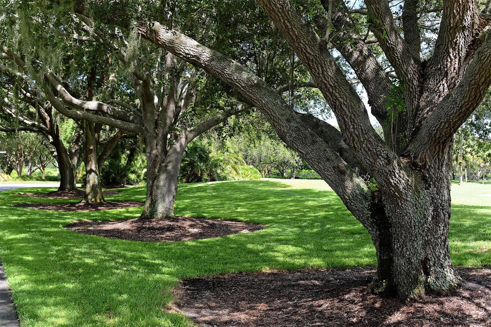 51 Macewen Dr #12, Osprey, FL 34229 — photo 68 of 71
