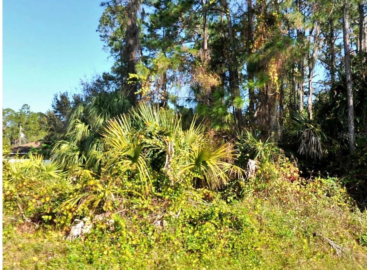Zambrana Ave, North Port, FL 34286 · MLS# GC539592 — photo 1 of 1