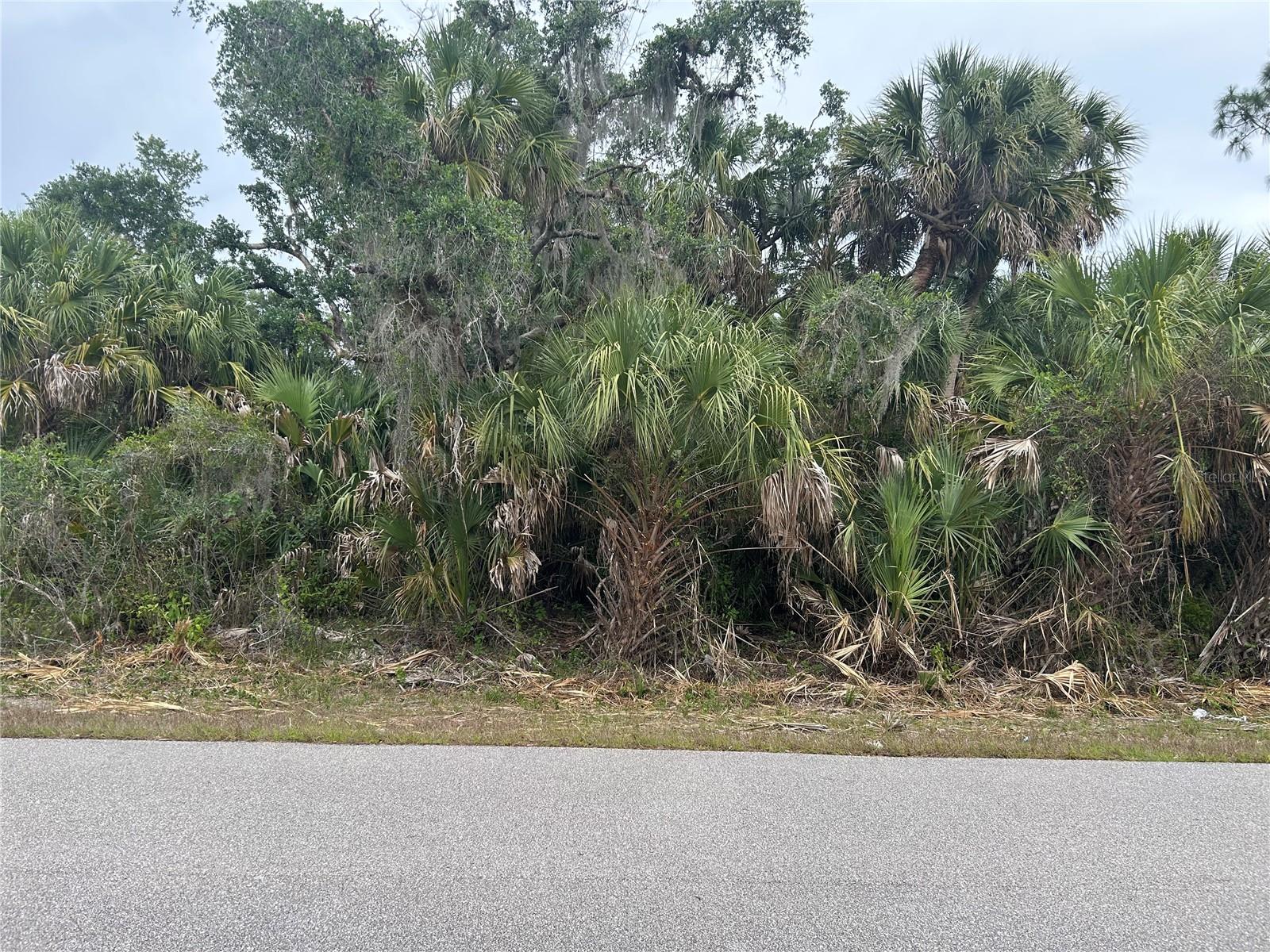 Basket St, North Port, FL 34288 · MLS# C7525056 — photo 1 of 1