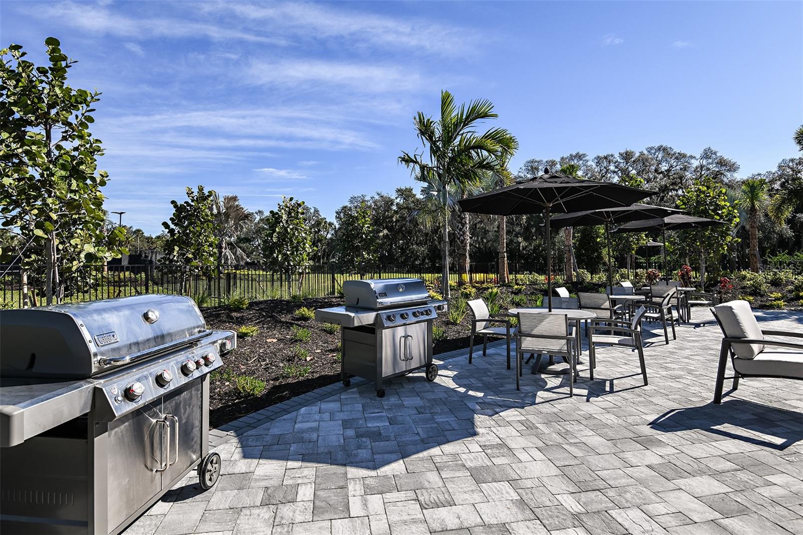 Cassia at Skye Ranch Community