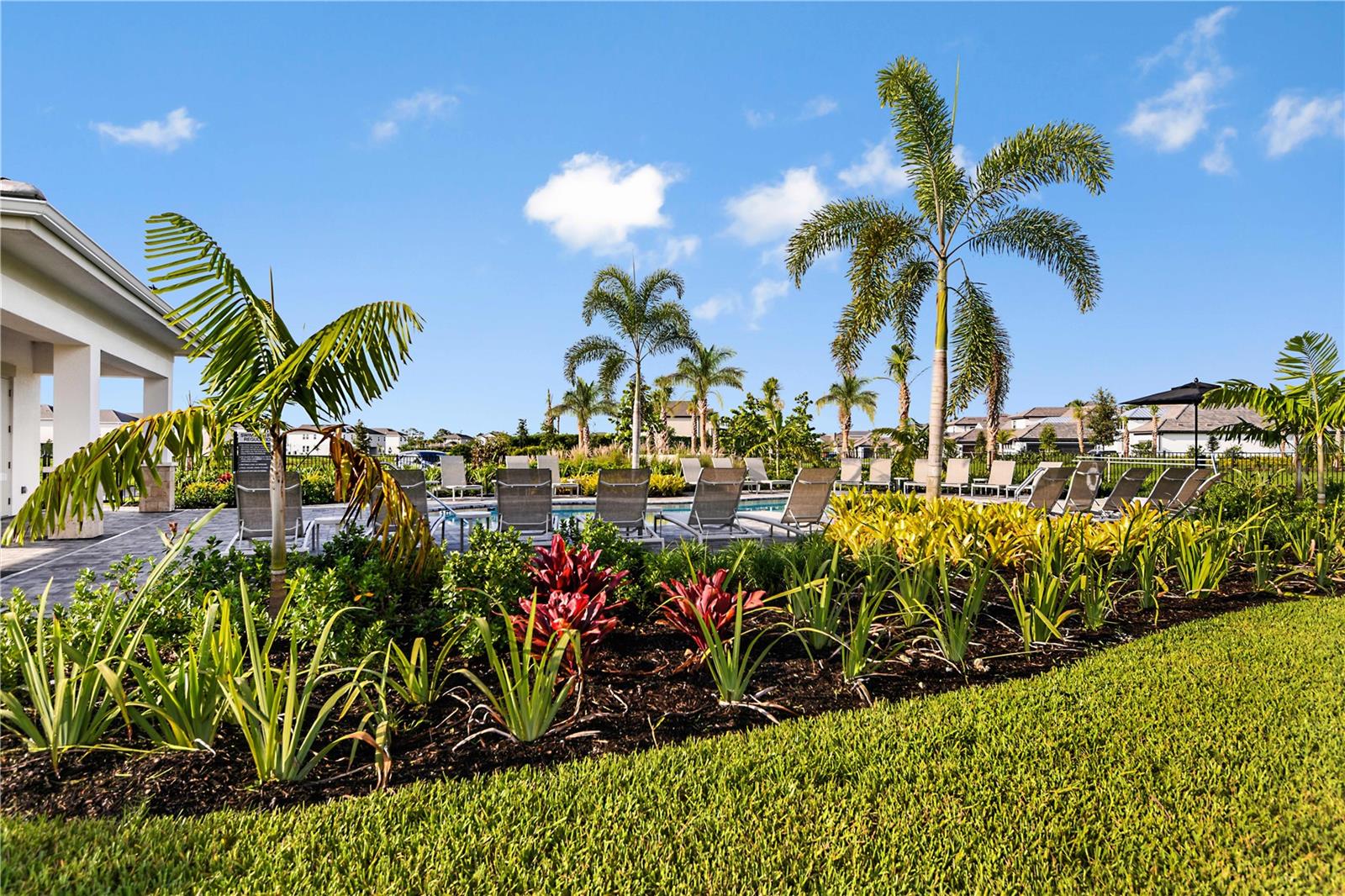 Cassia at Skye Ranch Community