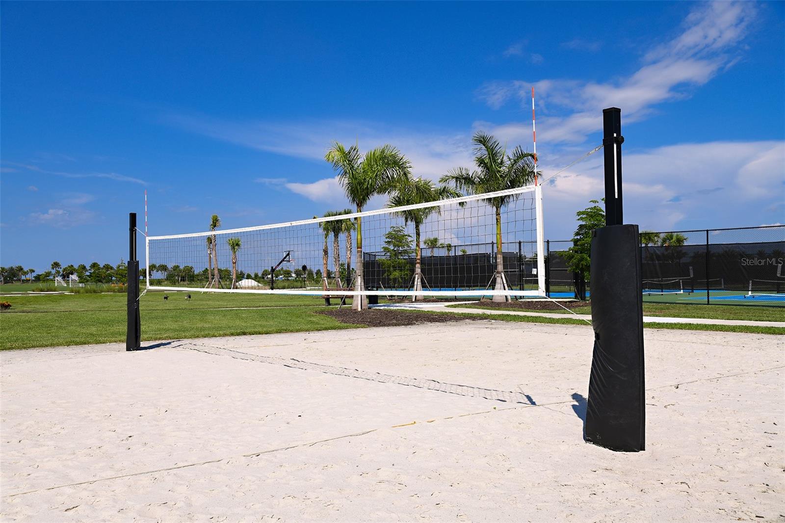 Cassia at Skye Ranch Community