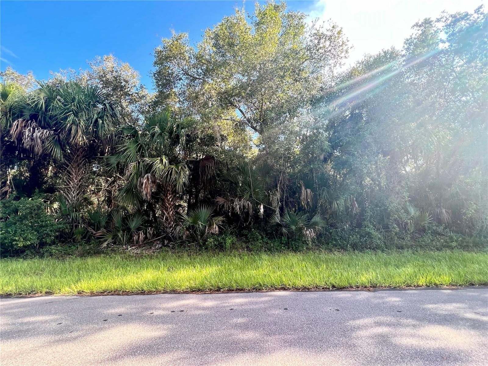 14455 Black Ave, Port Charlotte, FL 33953 — photo 1 of 1