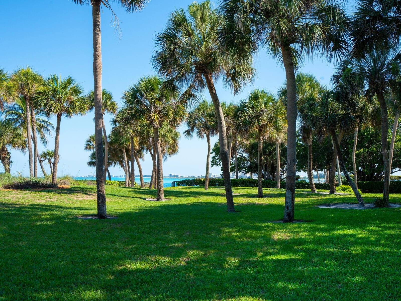 22 Sandy Cove Rd #apt 203, Sarasota, FL 34242 — photo 29 of 48