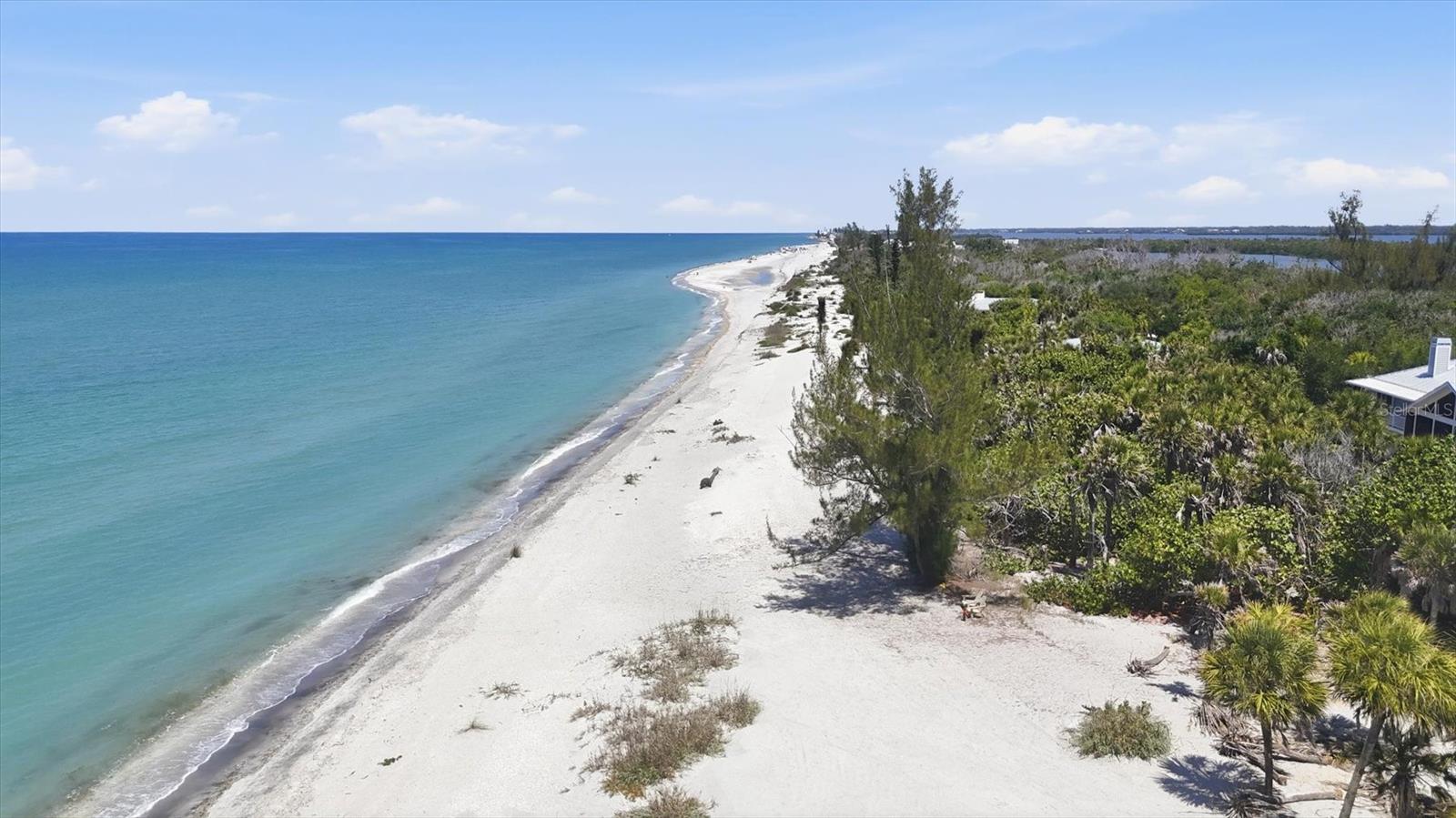 Beach View