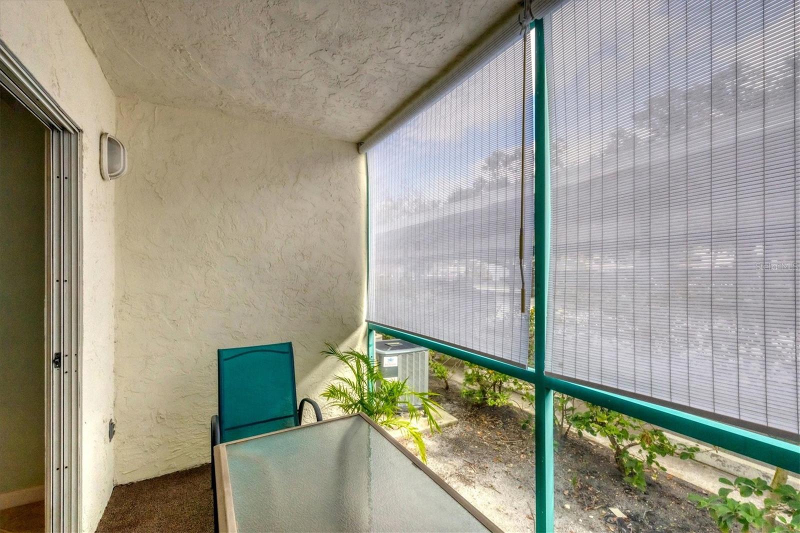 Back covered patio