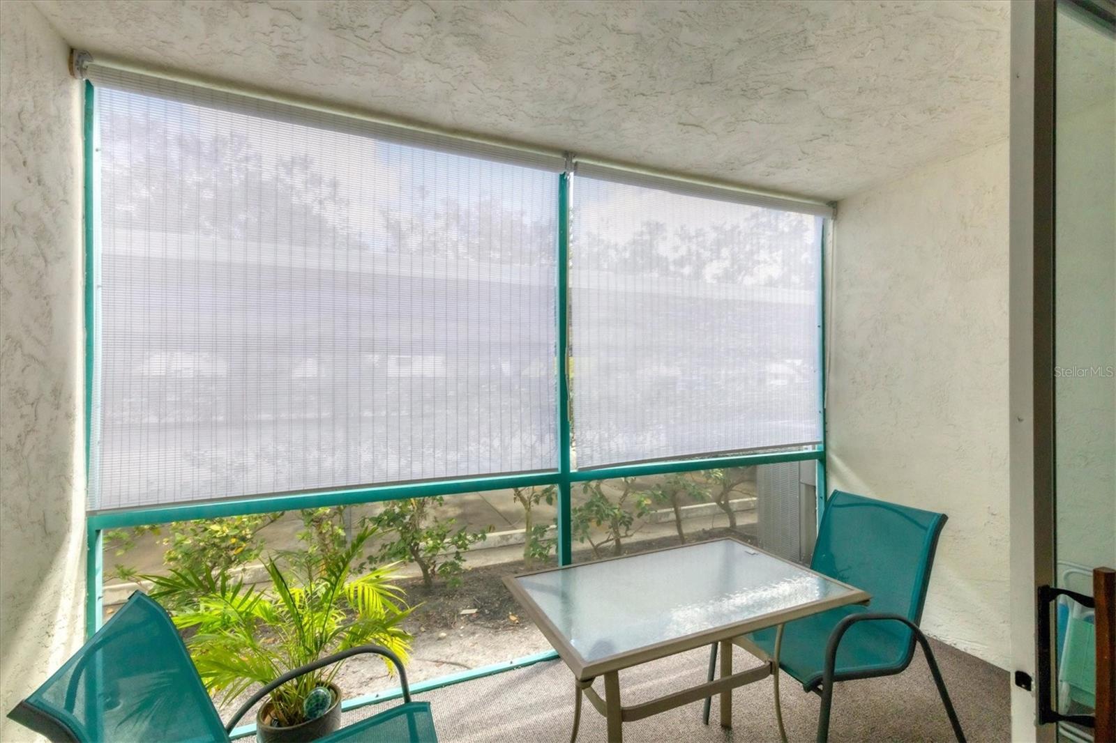 Back covered patio