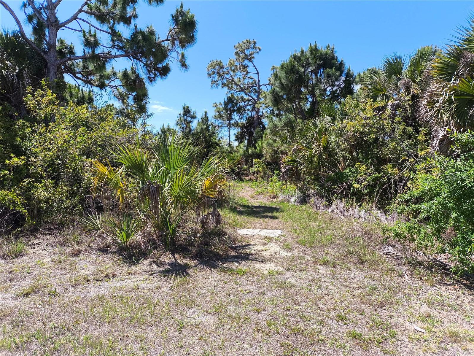 12289 Clarendon Ave, Port Charlotte, FL 33981 — photo 1 of 1