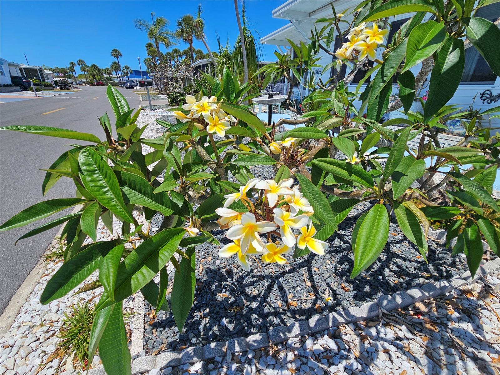 205 Via Veneto, Venice, FL 34285 — photo 25 of 54
