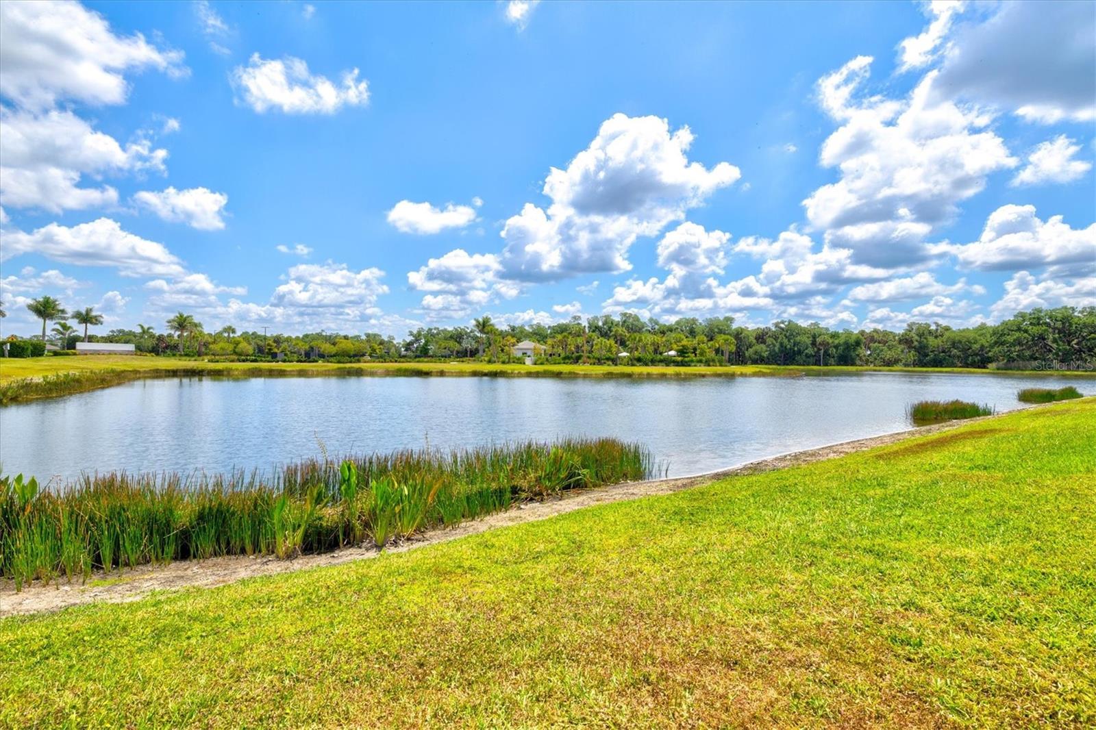 10254 Morning Mist Ln, Sarasota, FL 34241 — photo 35 of 47
