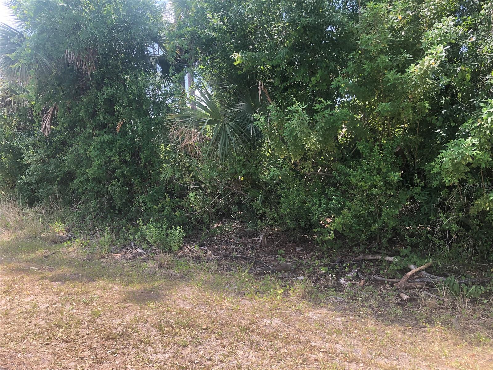 Dandurand Ave, North Port, FL 34291 · MLS# C7525681 — photo 1 of 1